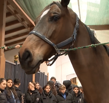 Eveniment educativ dedicat copiilor și tinerilor, organizat la centrul ecvestru din Snagov