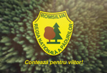 Romsilva solicită ca reorganizarea să fie bazată pe un studiu solid de impact