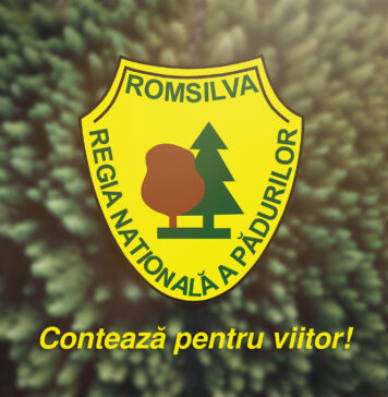 Romsilva solicită ca reorganizarea să fie bazată pe un studiu solid de impact