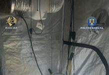 Bărbat de 34 de ani, din Ilfov, cercetat pentru trafic de droguri de risc