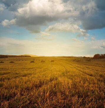 Sprijin financiar suplimentar pentru fermieri prin actualizarea schemei de ajutor de stat la motorina utilizată în agricultură