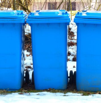 Studiu: Cantitățile de deșeuri cresc cu până la 30% în perioada sărbătorilor de iarnă/ Risipa de alimente costă Uniunea Europeană peste 130 miliarde euro în fiecare an și afectează milioane de gospodării