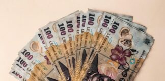 Falși angajați de la energie, reținuți pentru furtul a peste 100.000 lei din casele unor bătrâni