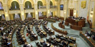 Senat: O zi liberă plătită, lunar, pentru salariatele diagnosticate cu endometrioză