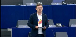 Victor Negrescu: Garanții de securitate pentru flancul estic al Uniunii Europene. Acesta a fost mesajul meu în plenul Parlamentului European!