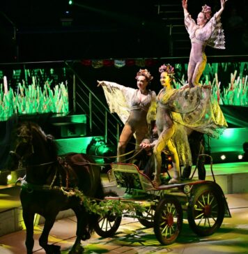 Floriile aduc un maraton cultural în București: spectacole, premiere și expoziții pentru toate vârstele