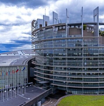 European Parliament votes to lift immunity of Polish MEP Grzegorz Braun over Holocaust denial