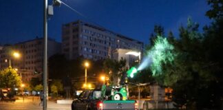Nou tratament de combatere a țânțarilor începe în București. Intervențiile se desfășoară timp de o săptămână