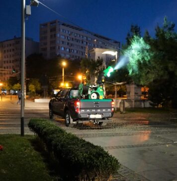 Nou tratament de combatere a țânțarilor începe în București. Intervențiile se desfășoară timp de o săptămână