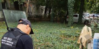 Amenzi de până la 5.000 de lei pentru cei care abandonează deșeuri pe domeniul public în Sectorul 6